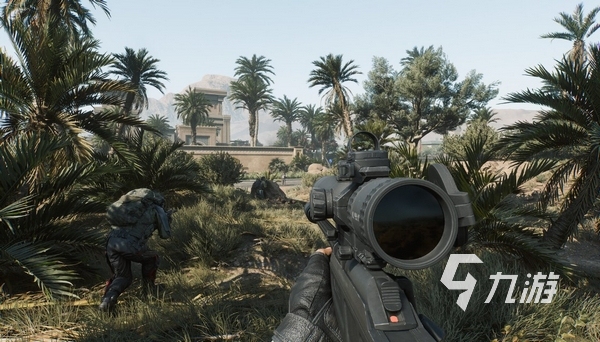 许多国家的 许多国家的