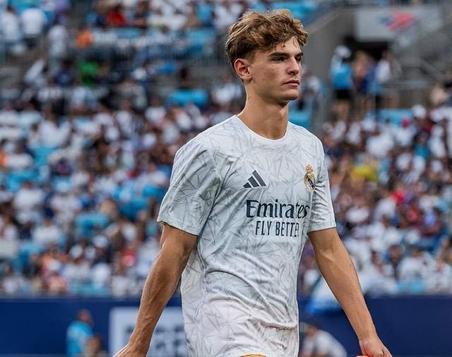 极的影响 极的影响