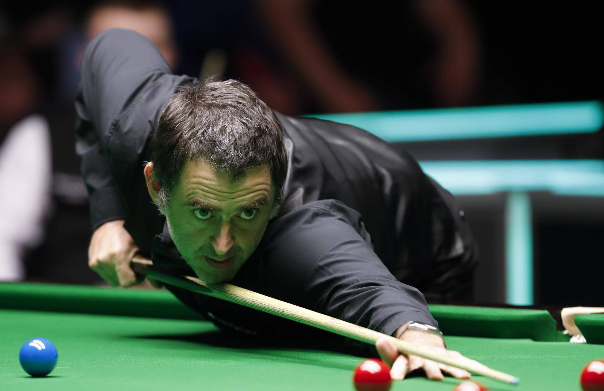 双王的荣誉 双王的荣誉