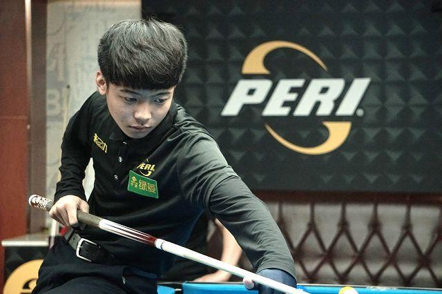 职业生涯的 职业生涯的