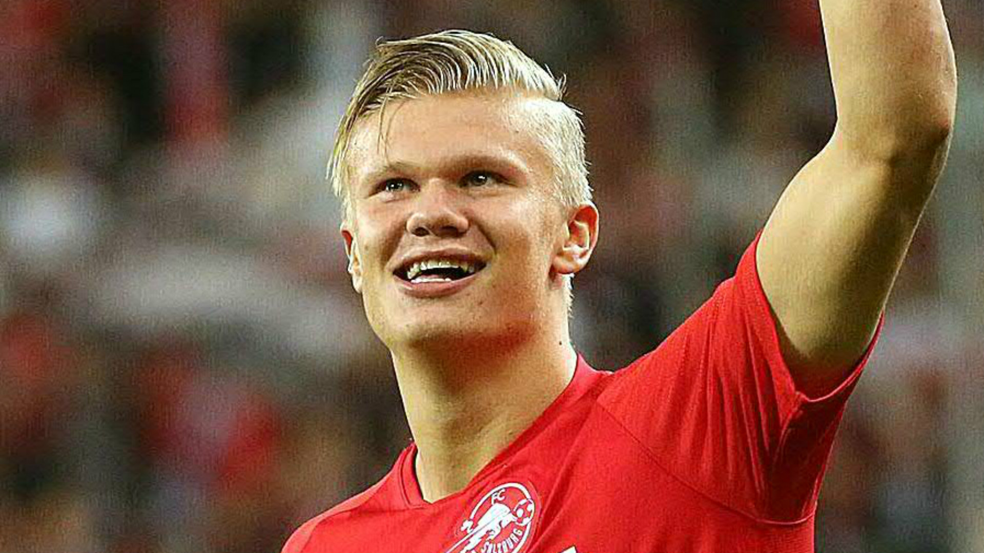 下载入口 下载入口