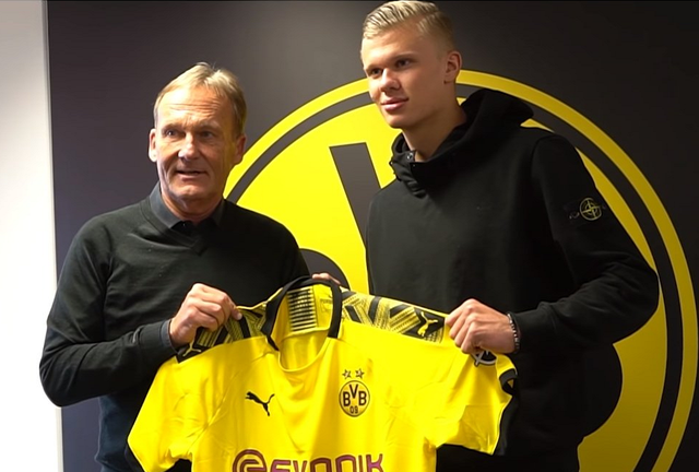 动校验版本 动校验版本